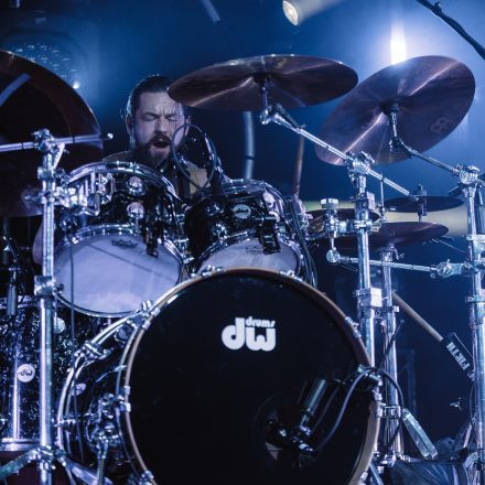 Animals as Leaders