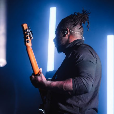 Animals as Leaders