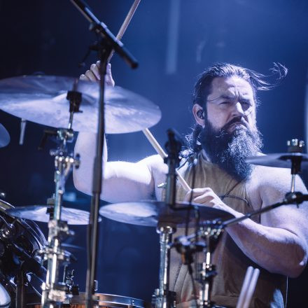 Animals as Leaders