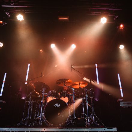 Animals as Leaders