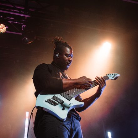Animals as Leaders
