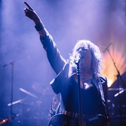 Rock The Night Vol. 13
