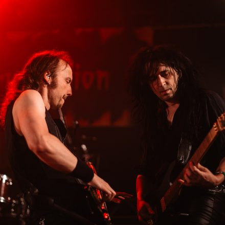 Rock The Night Vol. 13