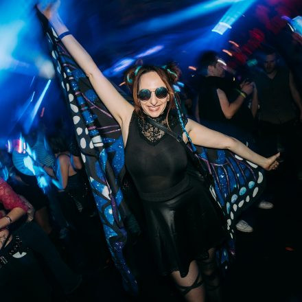 Paradise Winter Festival 2026 - Freitag