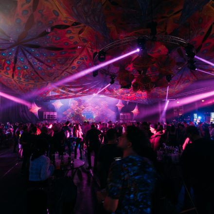 Paradise Winter Festival 2026 - Freitag