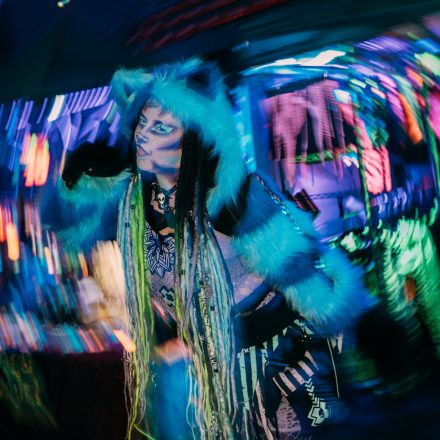 Paradise Winter Festival 2026 - Samstag