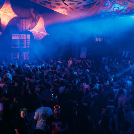 Paradise Winter Festival 2026 - Samstag