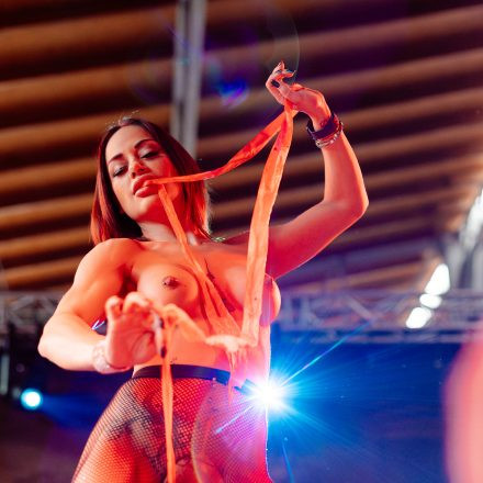 Erotikmesse 2026 - Explicit Content 18+