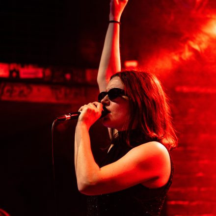 Introduction Night: So Sorry + Schmack