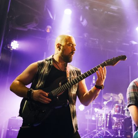 Rock The Night Vol. 15