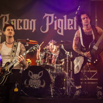 Rock The Night Vol. 15