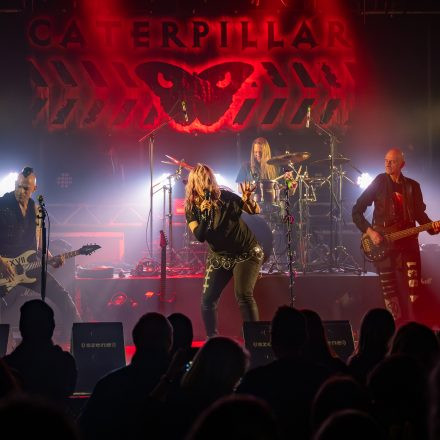 Rock The Night Vol. 15