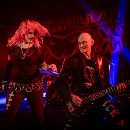 Rock The Night Vol. 15