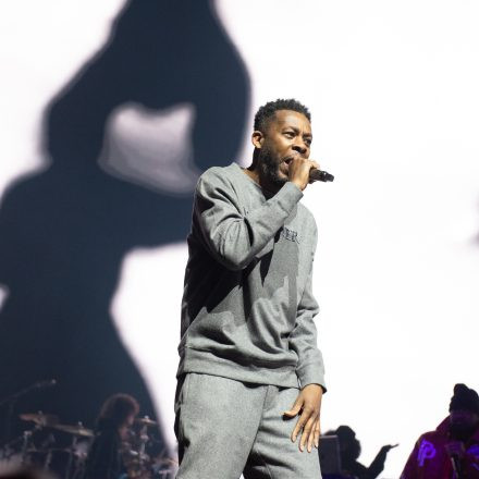 Wu-Tang-Clan : The Final Chamber