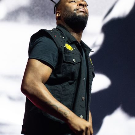 Wu-Tang-Clan : The Final Chamber