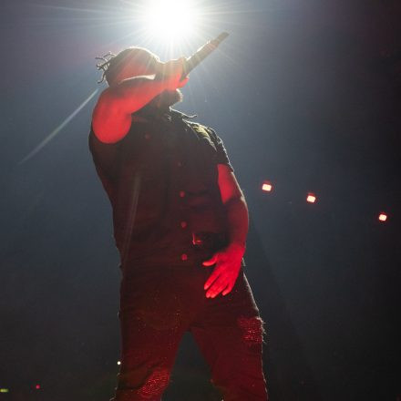 Wu-Tang-Clan : The Final Chamber