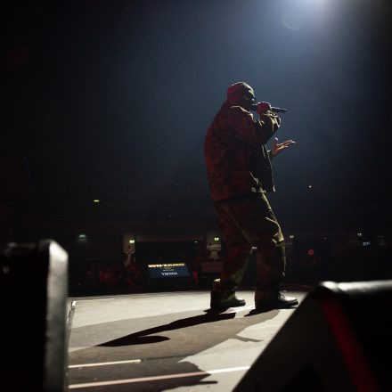 Wu-Tang-Clan : The Final Chamber