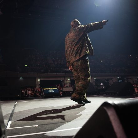 Wu-Tang-Clan : The Final Chamber