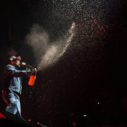 Wu-Tang-Clan : The Final Chamber