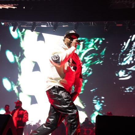 Wu-Tang-Clan : The Final Chamber