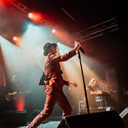 Maximo Park