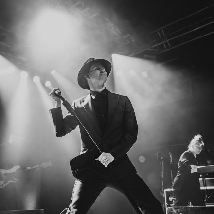 Maximo Park