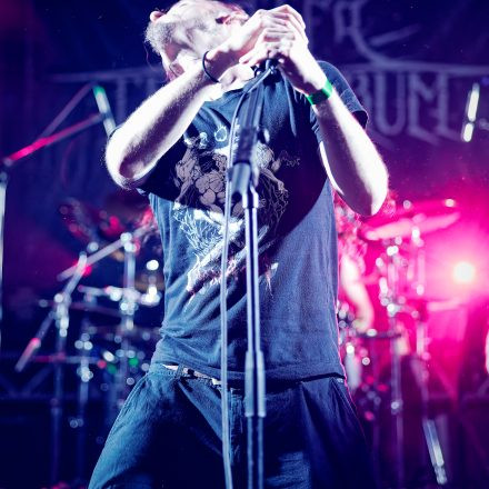 Into The Dark: Chapter 2