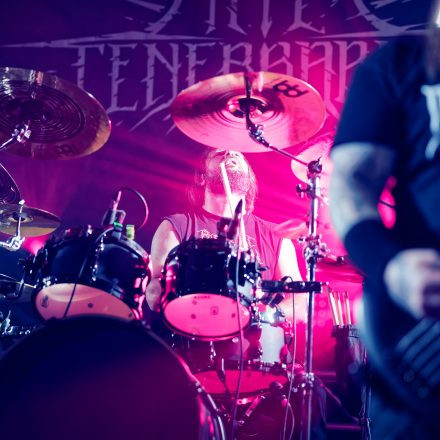 Into The Dark: Chapter 2