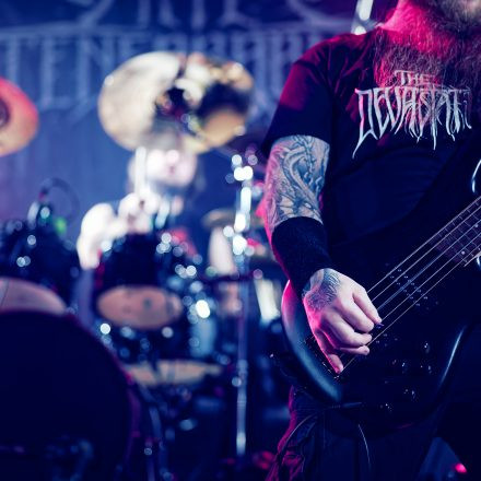 Into The Dark: Chapter 2