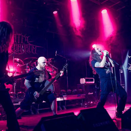 Into The Dark: Chapter 2