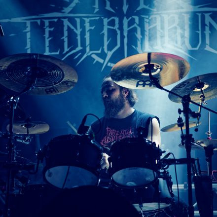 Into The Dark: Chapter 2