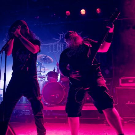 Into The Dark: Chapter 2