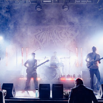 Into The Dark: Chapter 2