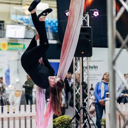 Frühling Vital & Genuss 2026