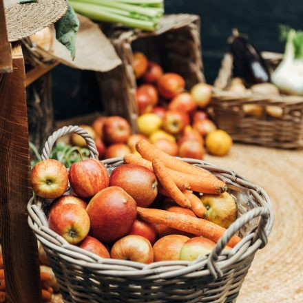 Frühling Vital & Genuss 2026