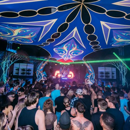 NEELIX and Friends Showcase