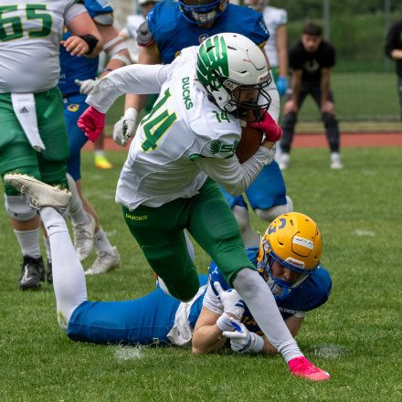 AFL Graz Giants vs Salzburg Ducks (35 : 7)