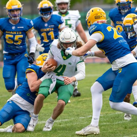 AFL Graz Giants vs Salzburg Ducks (35 : 7)