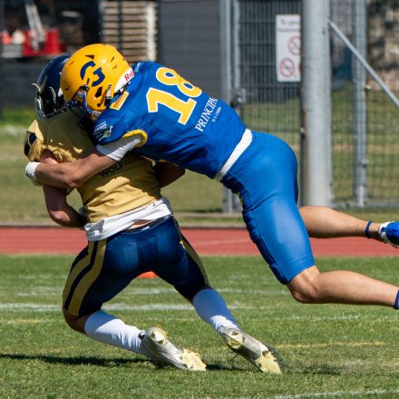 AFL Graz Giants vs Fehérvár Enthroners (31 : 8)
