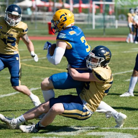 AFL Graz Giants vs Fehérvár Enthroners (31 : 8)