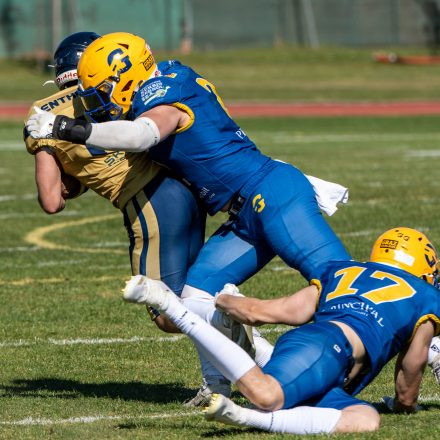 AFL Graz Giants vs Fehérvár Enthroners (31 : 8)