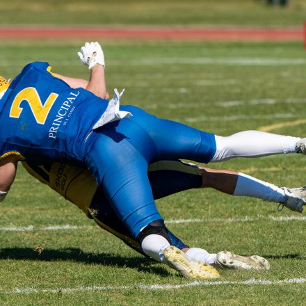 AFL Graz Giants vs Fehérvár Enthroners (31 : 8)