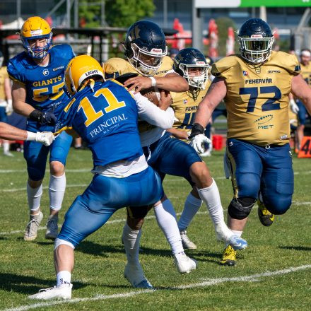 AFL Graz Giants vs Fehérvár Enthroners (31 : 8)