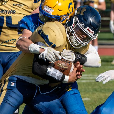 AFL Graz Giants vs Fehérvár Enthroners (31 : 8)