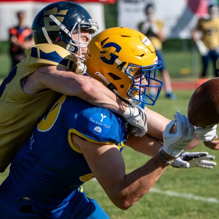 AFL Graz Giants vs Fehérvár Enthroners (31 : 8)