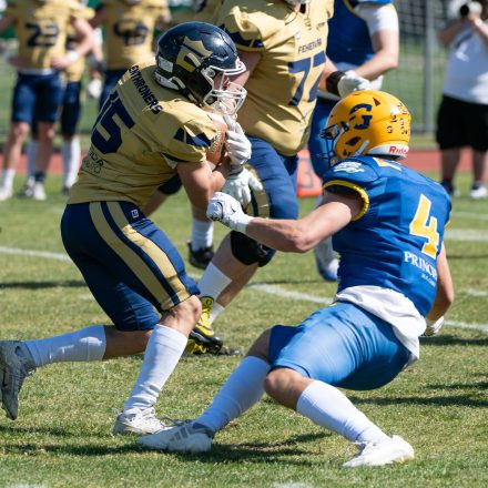 AFL Graz Giants vs Fehérvár Enthroners (31 : 8)