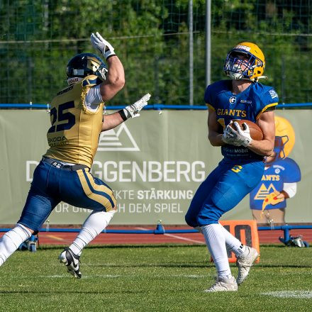AFL Graz Giants vs Fehérvár Enthroners (31 : 8)