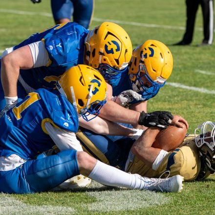AFL Graz Giants vs Fehérvár Enthroners (31 : 8)