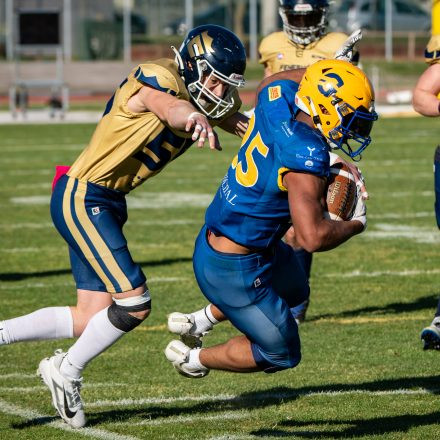 AFL Graz Giants vs Fehérvár Enthroners (31 : 8)