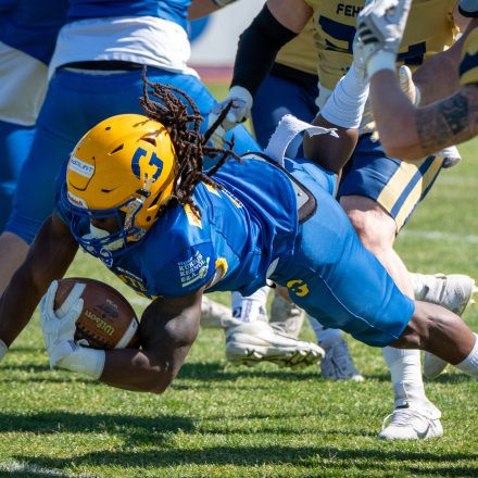 AFL Graz Giants vs Fehérvár Enthroners (31 : 8)